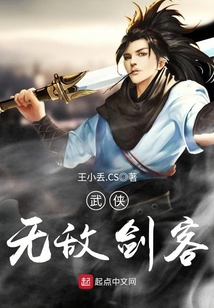 武侠无敌剑客 小说