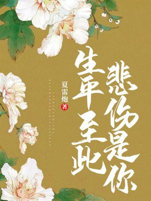 生平至此悲伤是你