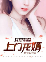 女总裁的上门龙婿简介