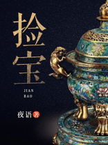 捡宝王观小说全文免费阅读