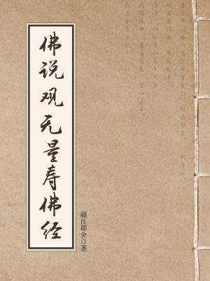 佛说大乘无量寿经读诵90分钟