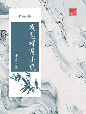 我怎么写小说