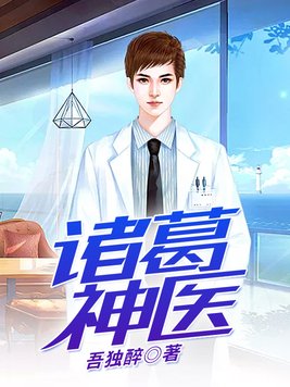 诸葛神医txt