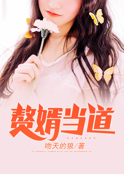赘婿当道免费全文阅读