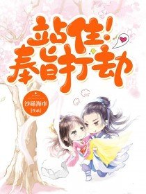 站住奉旨打劫