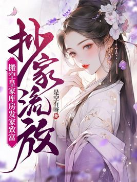 抄家流放搬空皇家库房发家致富百度小说