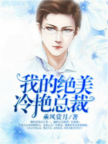 我的绝美冷艳总裁男主背景