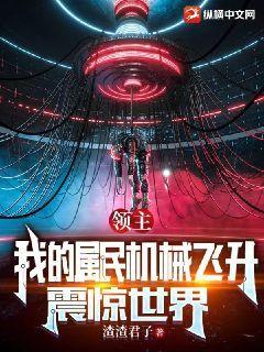 领主:我的属民机械飞升,震惊世界 渣渣君子