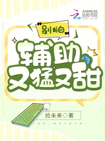别打我辅助