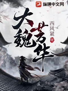 大魏芳华纵横中文最新