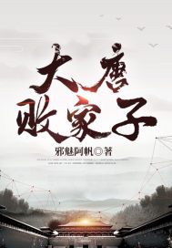 大唐败家子小说