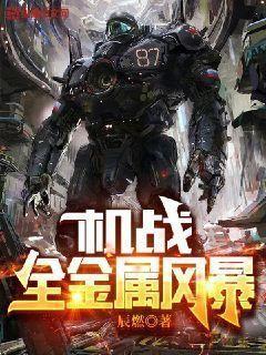 机战全金属风暴女主有几个