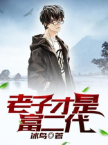 老子才是富二代 小说