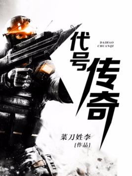 小说代号传奇