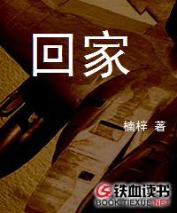 回家的心情简短的句子
