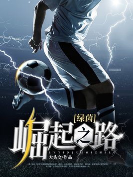 绿茵崛起之路 小说