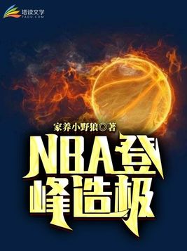 nba登峰造极zip下载