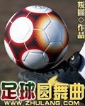 足球圆舞曲 叛图