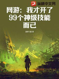 网游:我开局就满级了