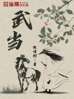 武当剑49式全套表演