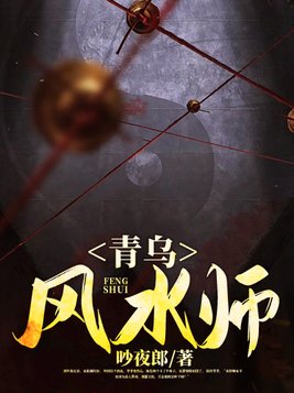 青乌风水师 小说