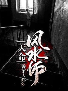 天命风水师道家九爷