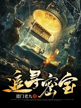 追寻密宝 小说