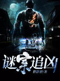谜案追凶电视剧全集免费