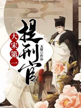 大宋第一提刑官小说