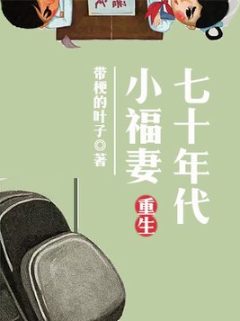 重生七十年代小福妻下载八零电子书
