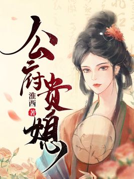 公府贵媳百度云