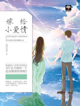 大都市小爱情电视剧