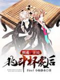 棋魂:开局北斗杯赛后
