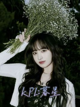 慕星平台