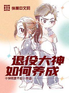 退役玩家