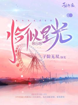 恰似星光撞入怀里的小说