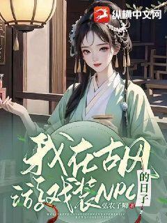 我在游戏里装npc的日子 百度网盘
