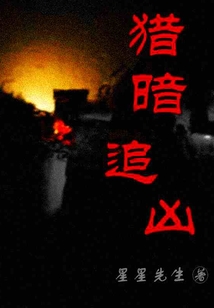 猎暗追凶