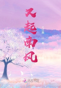 南风慢慢起小说