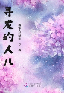 寻龙启示