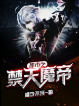 都市之魔帝奶爸