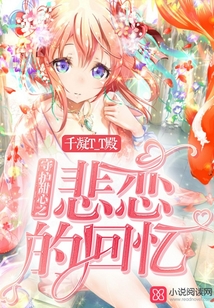守护甜心之回忆的梦 小说