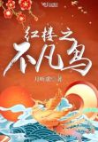 红楼之不凡鸟