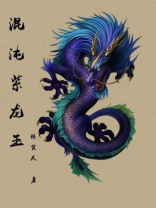 混沌紫龙玉 小说