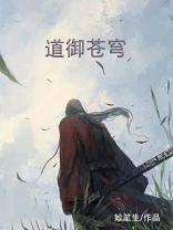 魂道苍穹 小说