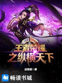 王者荣耀之纵横天下 加菲猫