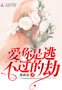 爱你是逃不过的劫傅