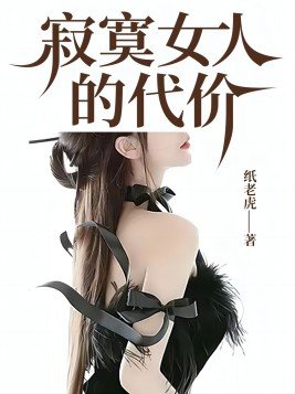 寂寞女人的代价 小说
