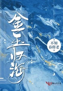 金海玉弓缘小说