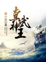 真武神王 全集动漫免费观看